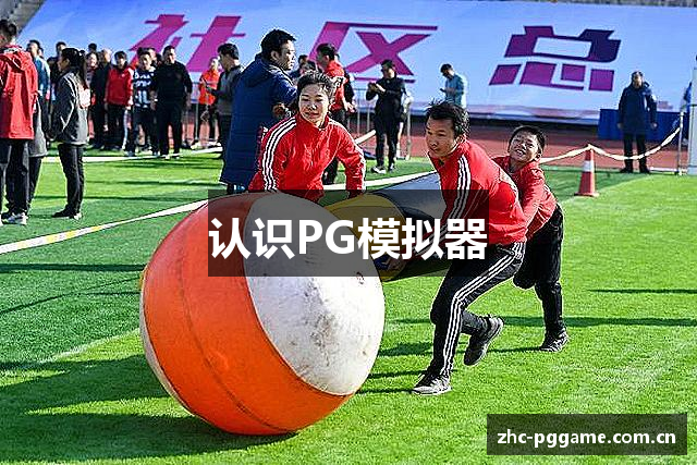 认识PG模拟器